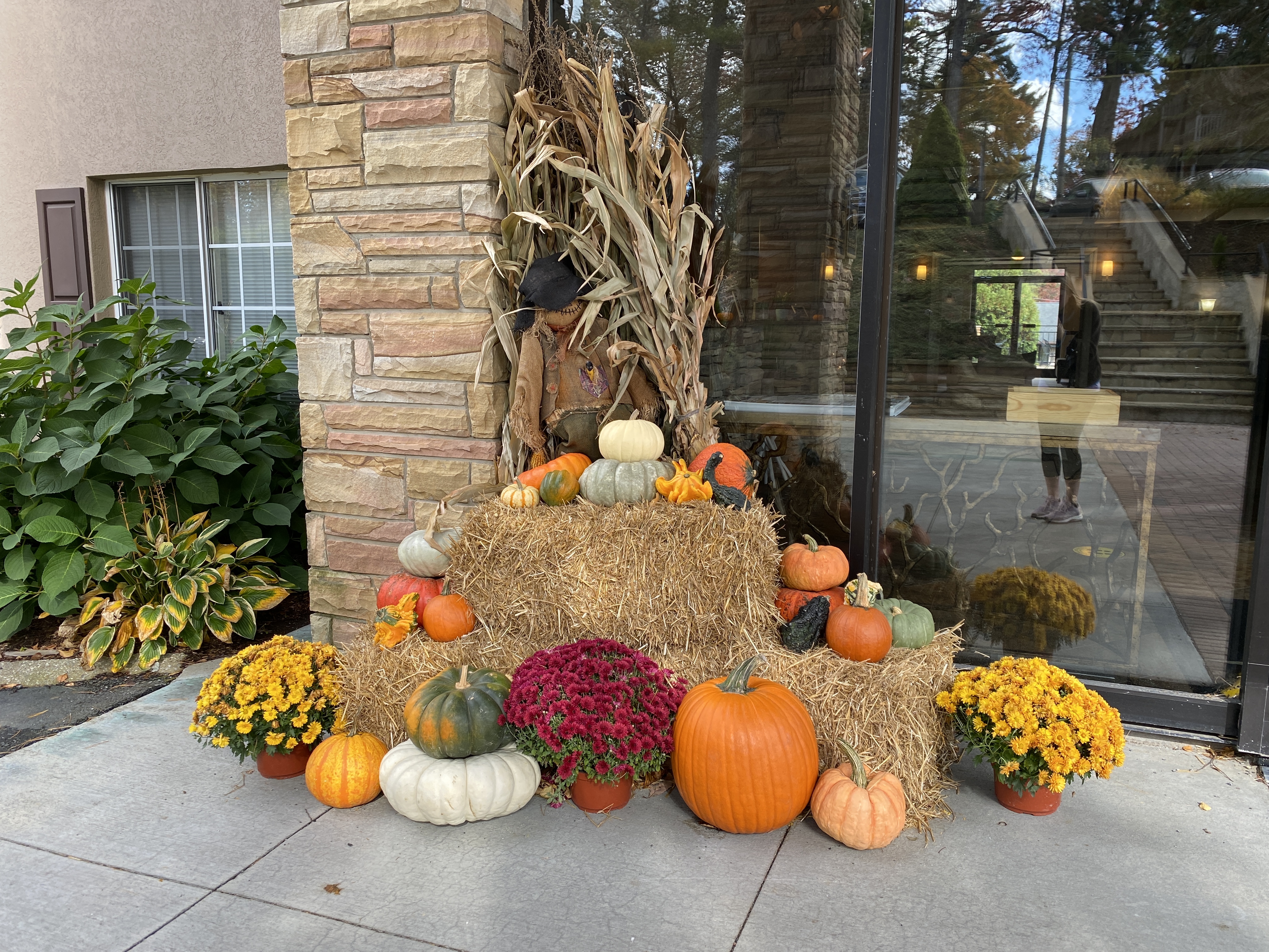 Pumpkin Display at Front Entrance
