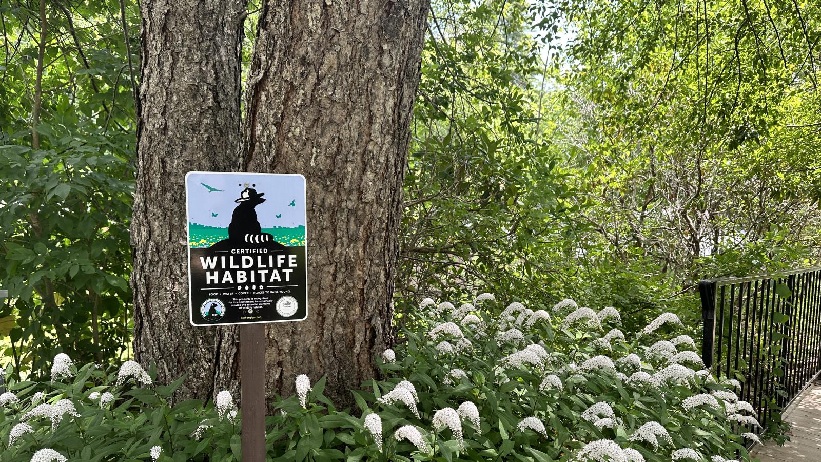 Wildlife Habitat